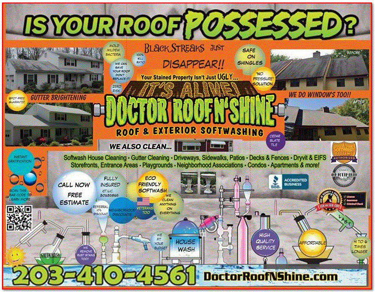 Capture Doctor Roof N Shine